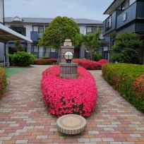 サンビレッジよし乃　共用部