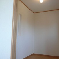 201512994418